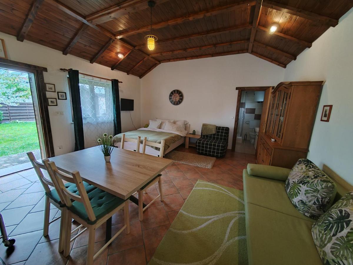 Studio apartman Buteo Jastrebarsko Exterior foto