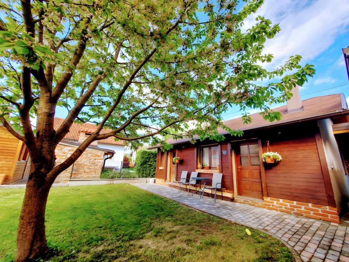 Studio apartman Buteo Jastrebarsko Exterior foto